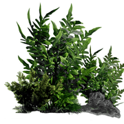 transparent-7-1-1