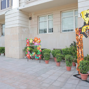 IMG 7072