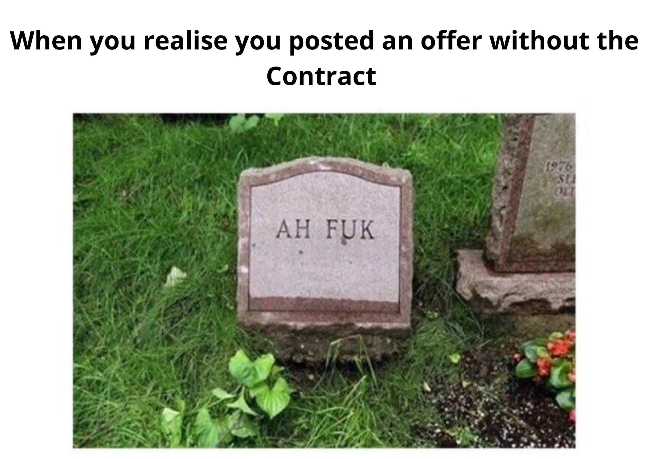 [Image: 007MEME.png]