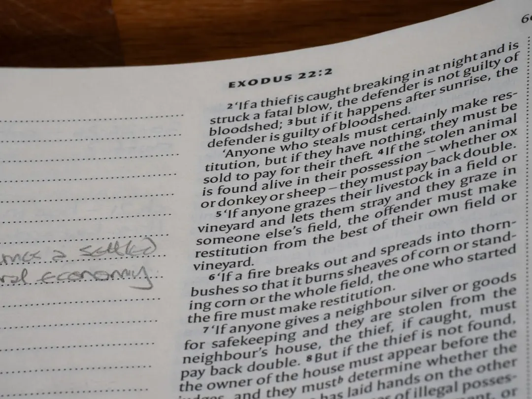 E-reader Showdown: ReMarkable Paper Pure vs Boox Go 10.3