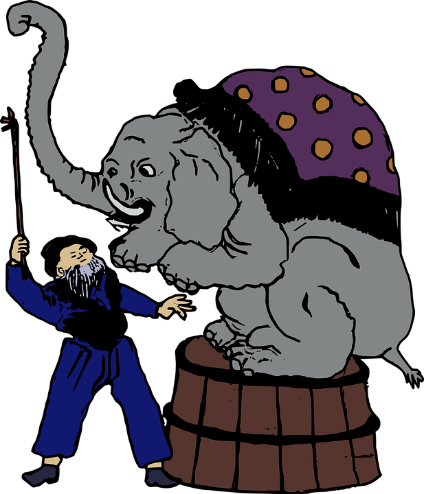 1 (15).png
