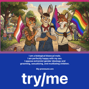 My Gender Pronouns