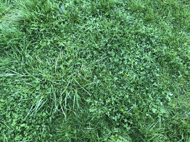IMG 2305