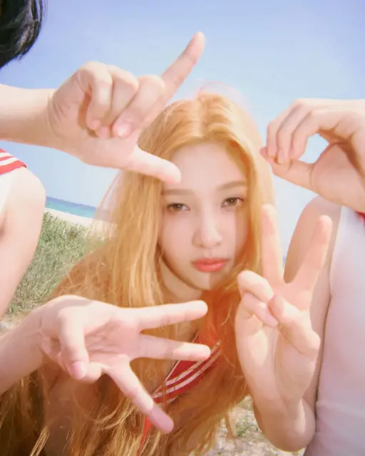 joy red velvet 1383727.webp