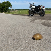 IMG 0389