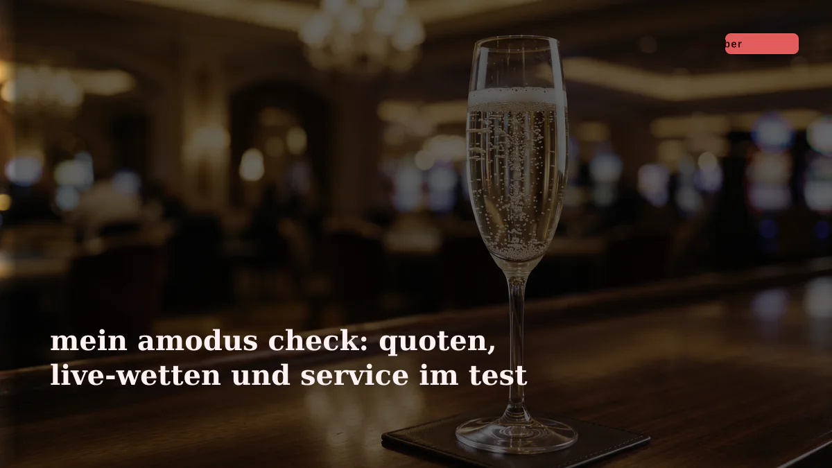 mein amodus check: quoten, live-wetten und service im test