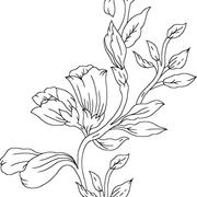 01-975