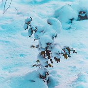 L1021401