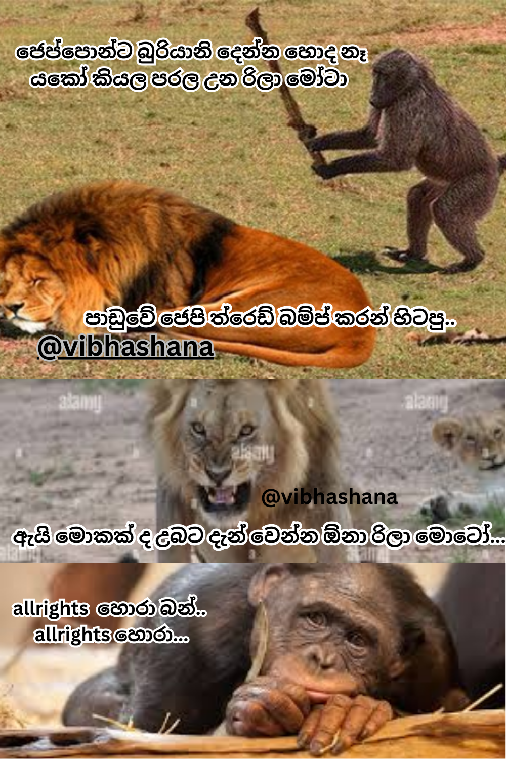 vibhashana.png