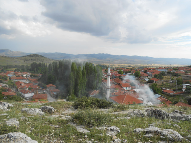 DSCN7088
