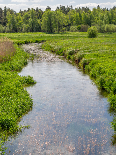 podlasie2 d2 15.jpg