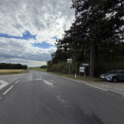 IMG 4737