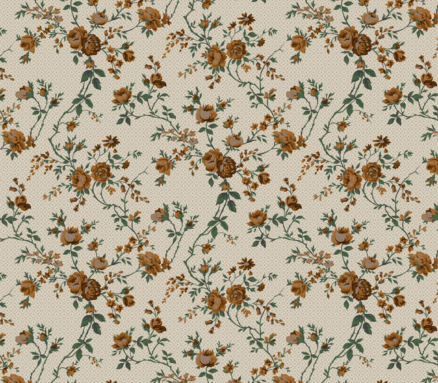 shutterstock 2446023489.jpg