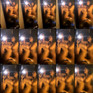 ATBBSWF
