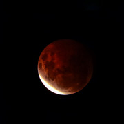 DSCN5184 (1)