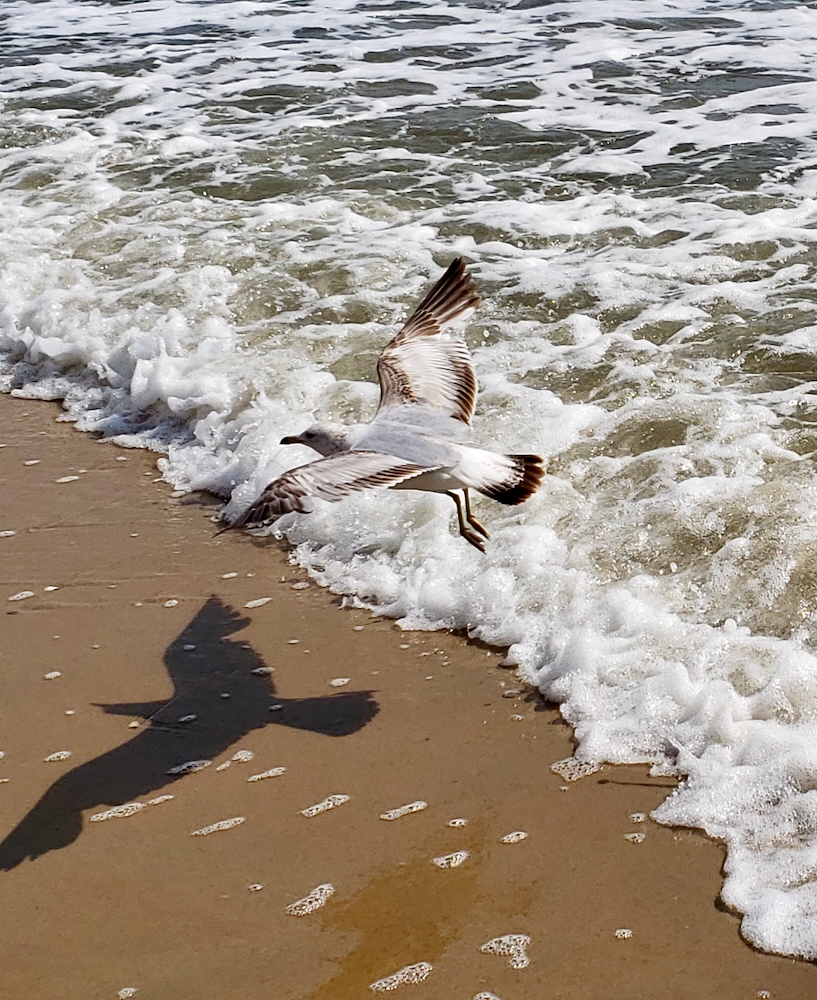 30+ лет в США. Заметки русско-американского пенсионера.