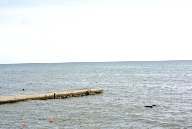 DSC-6791.jpg