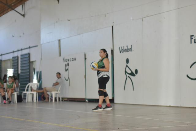 EMA6208.jpg