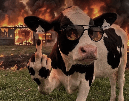 Image.gif
