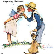beguiling buttercup