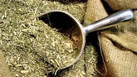 Yerbas