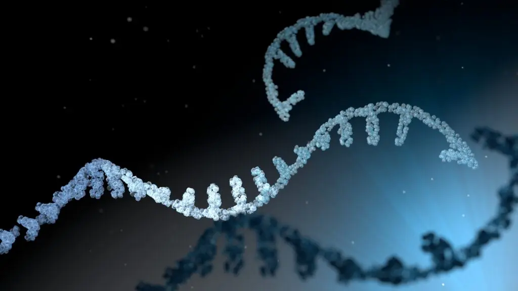 A Pivotal Year for Advancements in Cancer Treatment