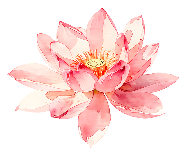 a22326f75a8a00fd7f30a2e4543601f2.png