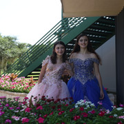 IMG 9111