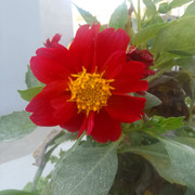 IMG 20260527 WA0013