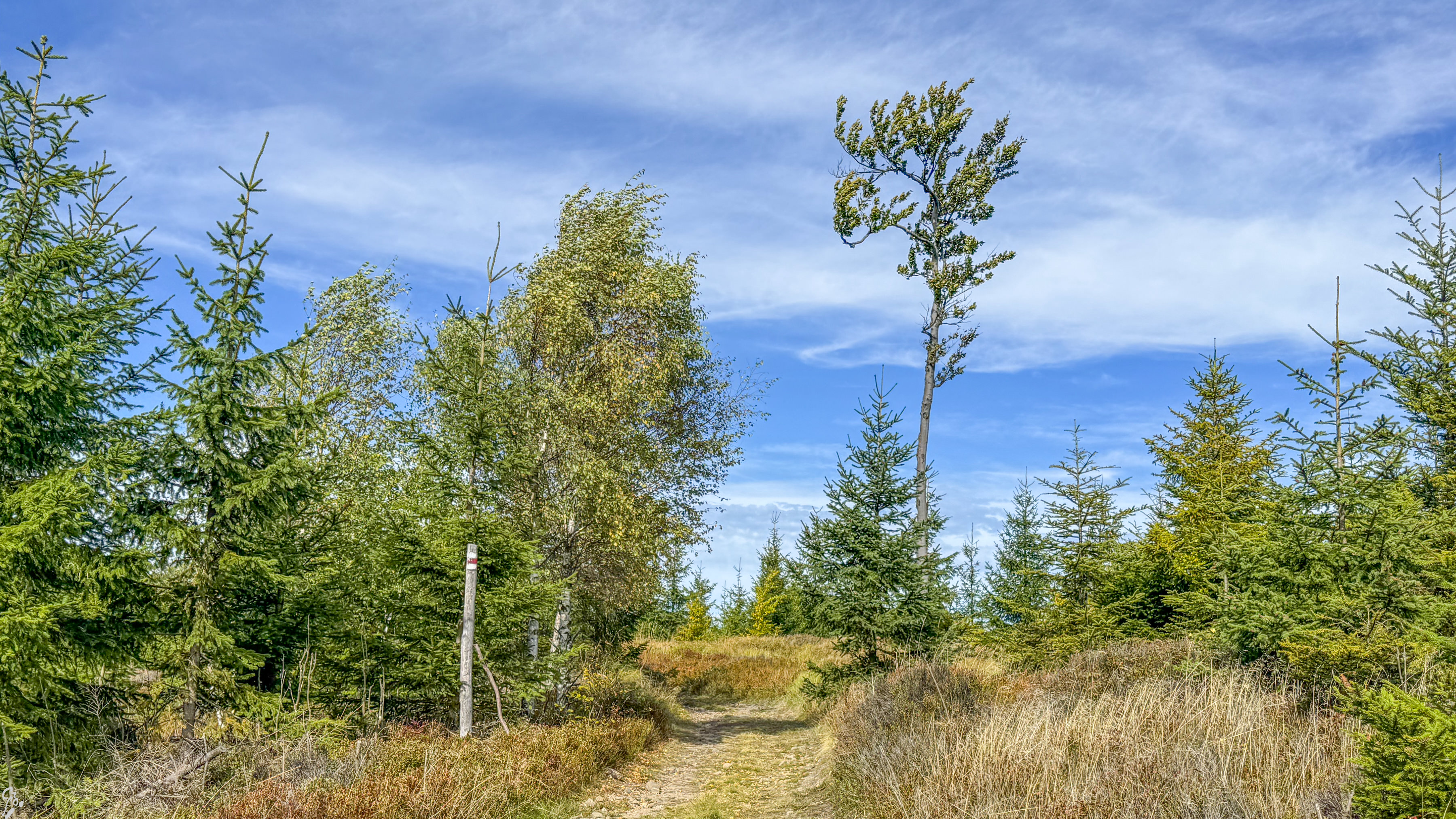 beskidy 04