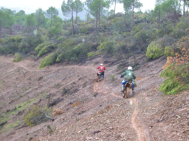 OLYMPUS-DIGITAL-CAMERA.jpg