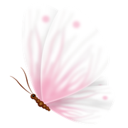 Collab hellospring part4 (5)