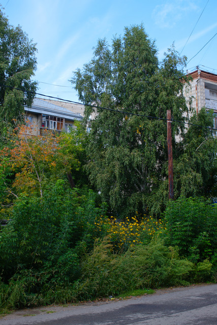 DSCF2117.jpg
