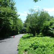 P1330891