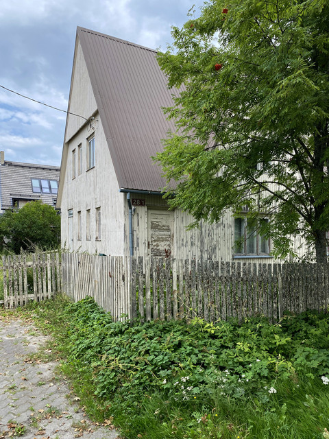 IMG-2564