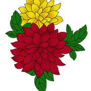 36