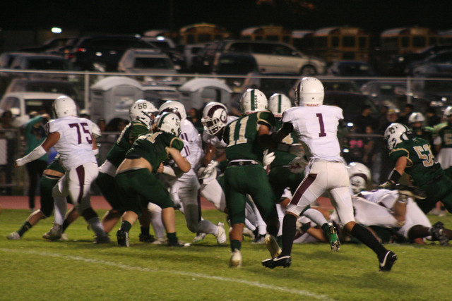 IMG-6479.jpg