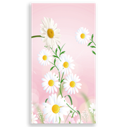303581-Flor-Margarida