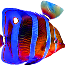 paz1.png