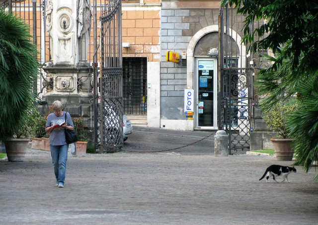 IMG-0406-2