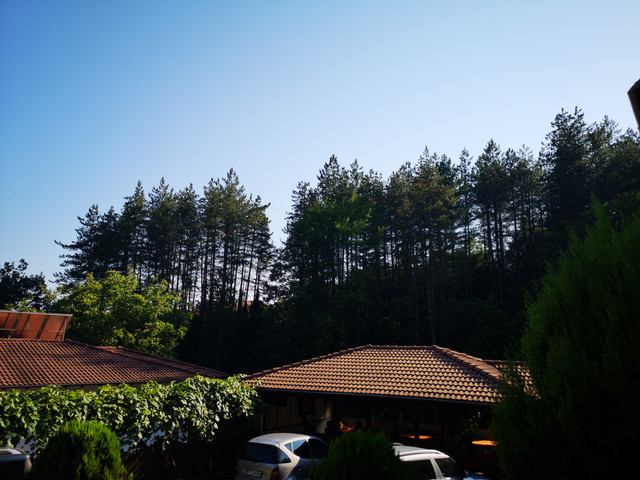 IMG-20210713-180215