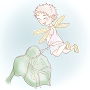 fairy whoops