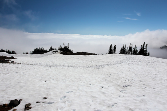 Mt-Rainier-7-Border-Maker