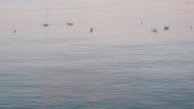 IMG-1983