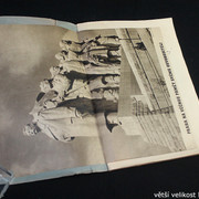 IMG-3833