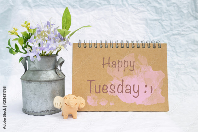 tuesday-47