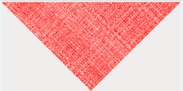 ld2