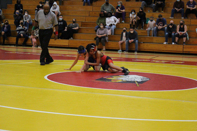 IMG-0041