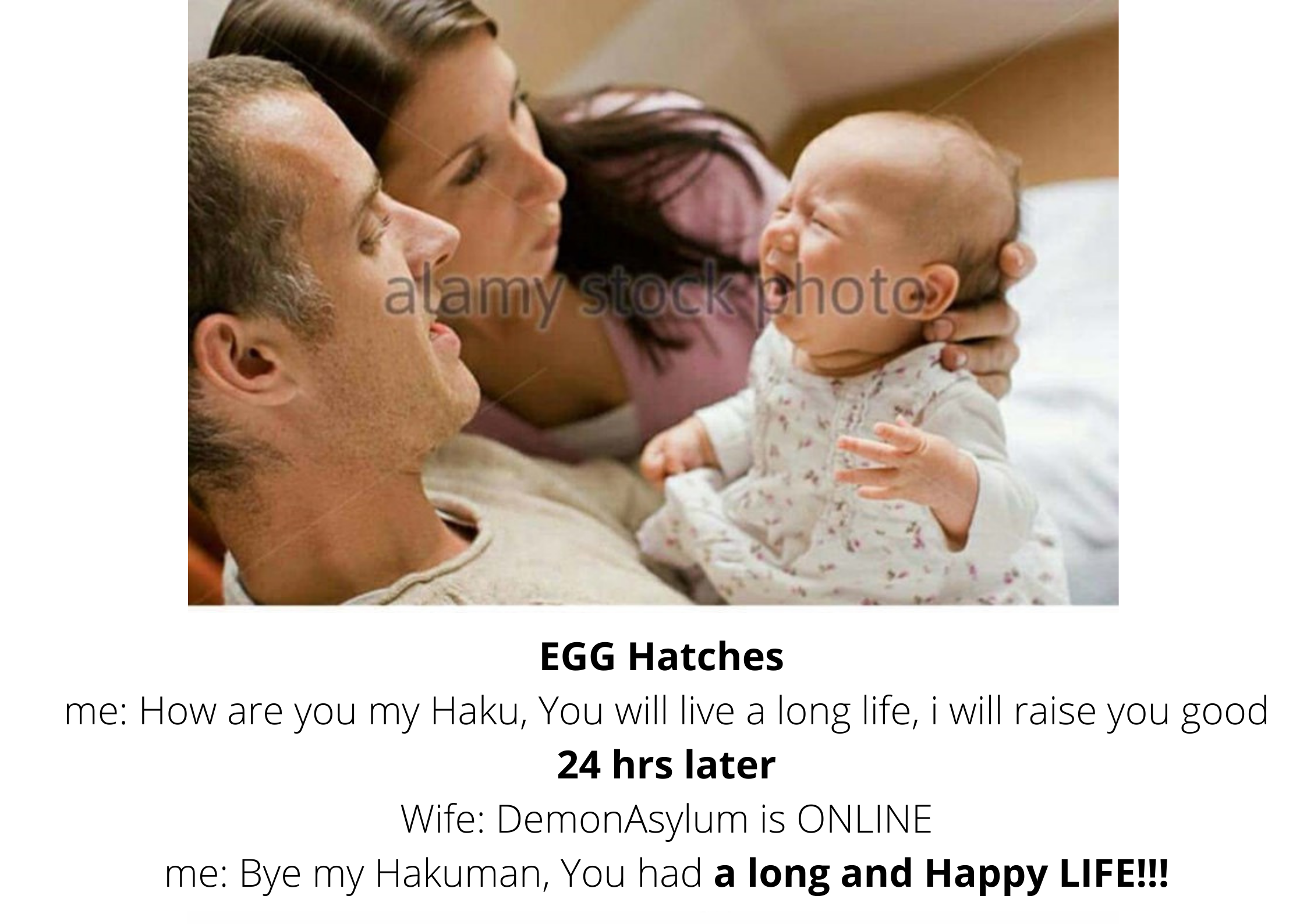 [Image: 004MEME.png]