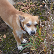 DSC03290